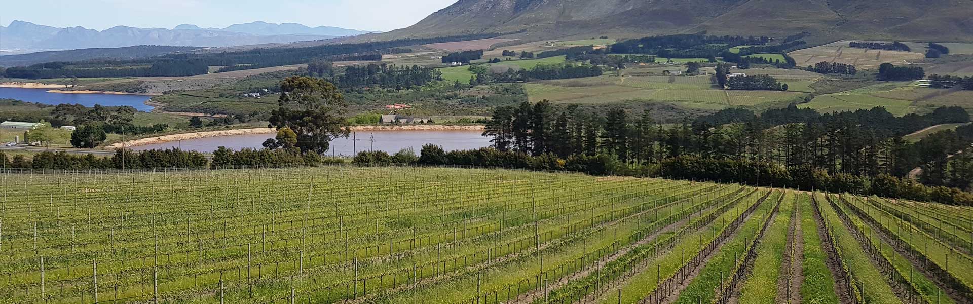 hemel en aarde wine route header